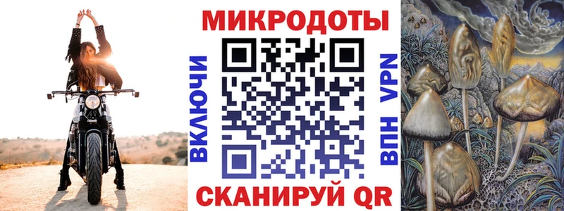 Псилоцибиновые грибы прущие грибы  Купить закладки  Рудня 