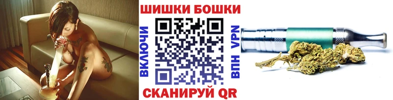 Каннабис планчик  Купить закладки  Рудня 